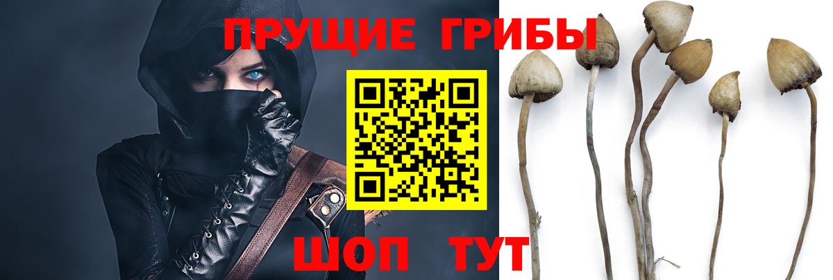 Галлюциногенные грибы Magic Shrooms Норильск